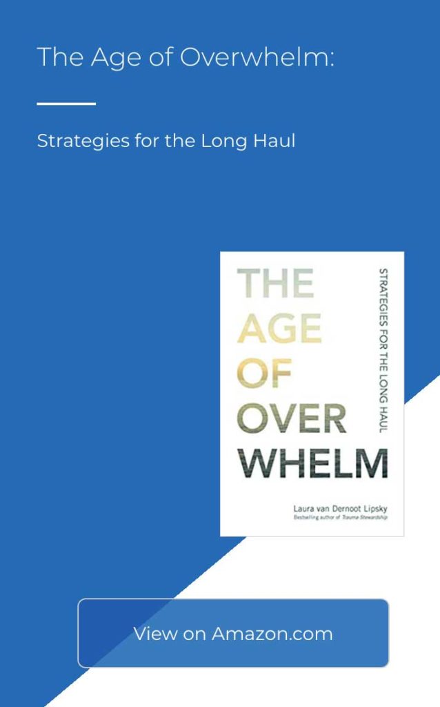 age-of-overwhelm book cover